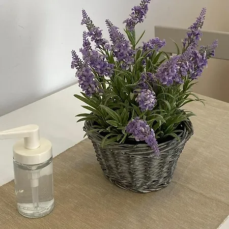 Beautiful Apartment@bairro Alto Apartament